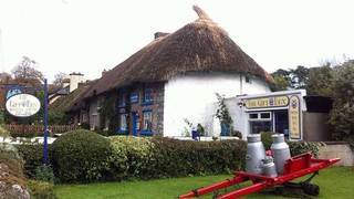 Berkeley Lodge Limerick Junction Exteriör bild