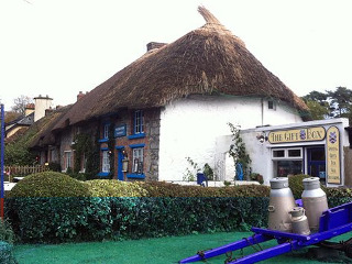 Berkeley Lodge Limerick Junction Exteriör bild